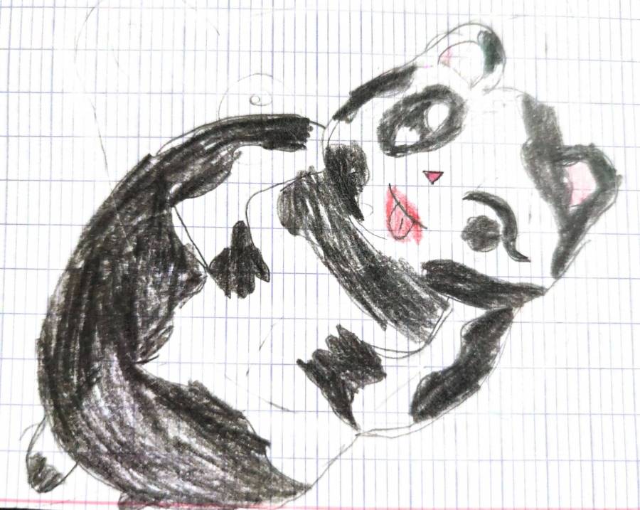 Le Panda